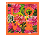 Hibiscus 2