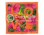 Hibiscus 2